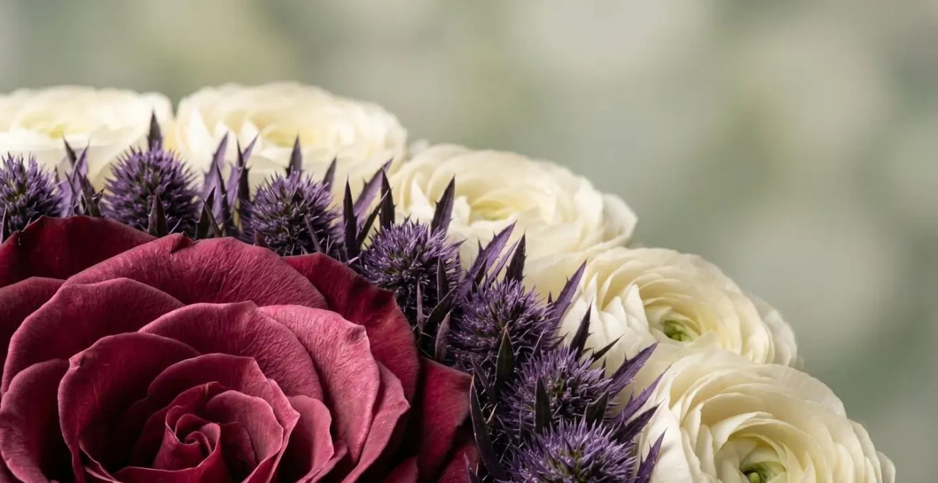 Extreme close-up macro photograph of Biedermeier concentric flower rings showing textural contrast between smooth rose petals and rough thistle surfaces