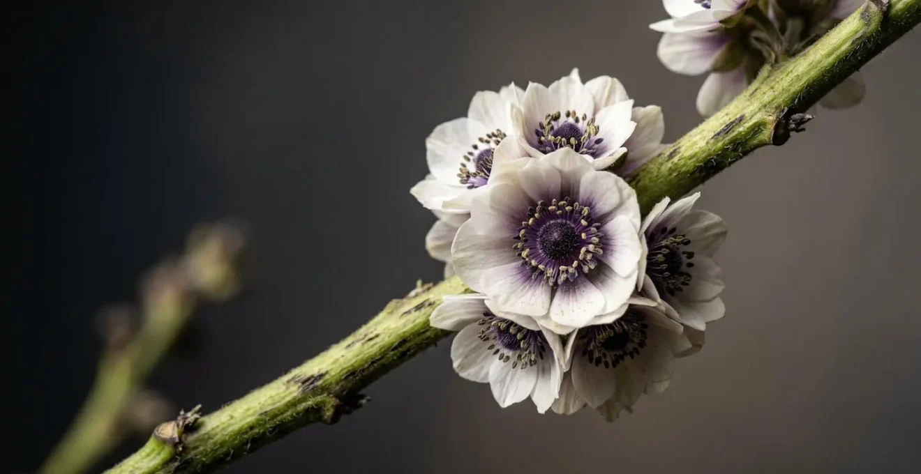 Close-up comparison showing dramatic spacing rhythm in contemporary floral design